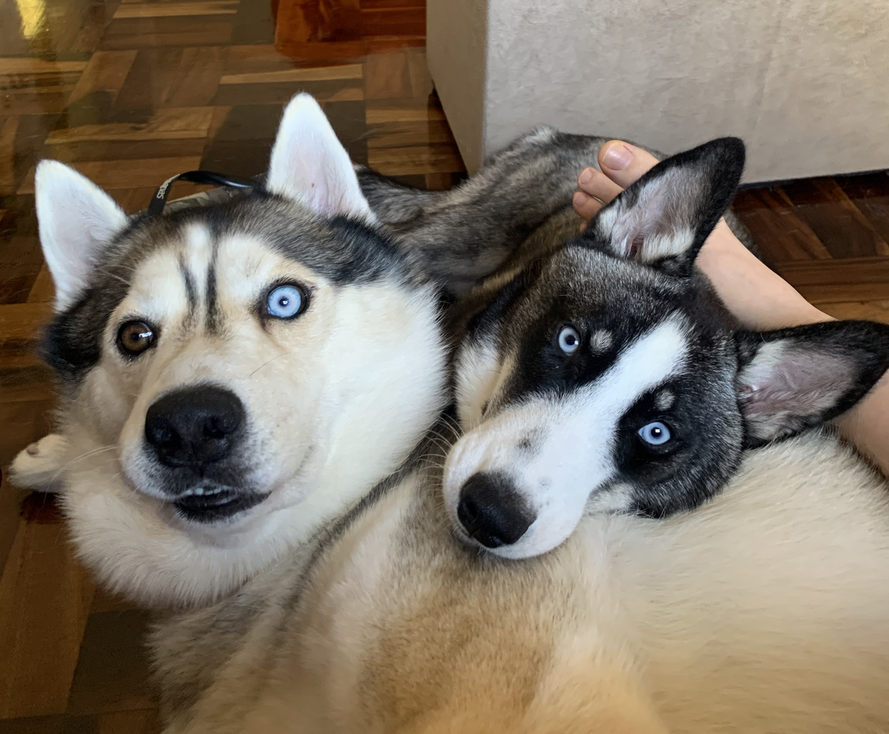 Odin and Malu Picture